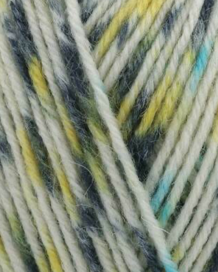 WYS Signature 4Ply The Butterflies Collection Swallowtail 1245