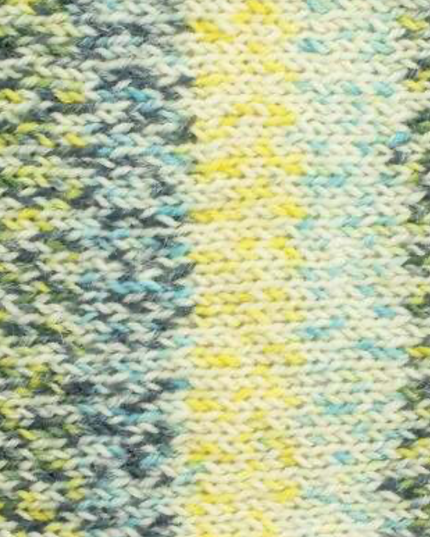 WYS Signature 4Ply The Butterflies Collection Swallowtail 1245