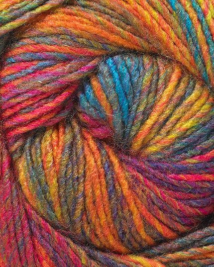 James C. Brett Emotions Dk Curious EM12