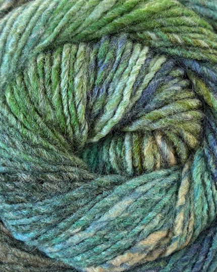 James C. Brett Emotions Dk Relaxed EM19
