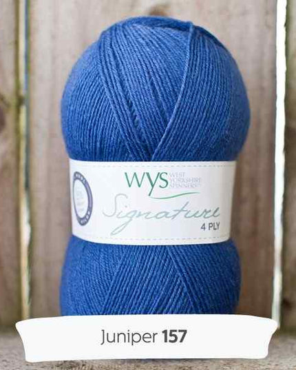 WYS Signature 4Ply Juniper 157