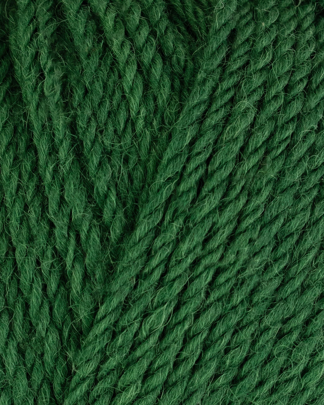 WYS ColourLab Aran Emerald Green 1212