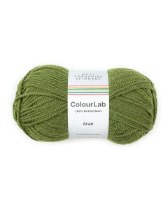 WYS ColourLab Aran Moss Green 1177