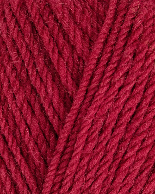 WYS ColourLab Aran Ruby Red 1213