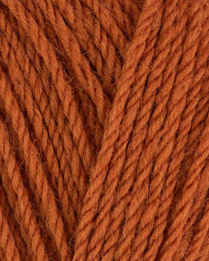WYS ColourLab Aran Rust Orange 1214