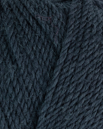 WYS ColourLab Aran True Navy 1211