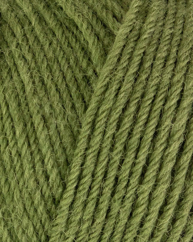 WYS  ColourLab DK Fern Green 1207
