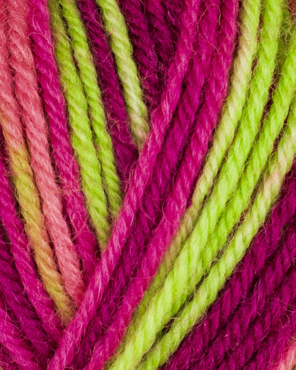 WYS ColourLab DK Future Dreams