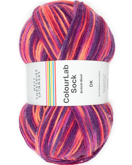 WYS ColourLab Sock Dk Jazz 1198
