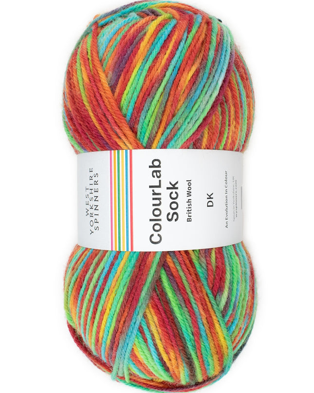 WYS ColourLab Sock Dk Pop 1202