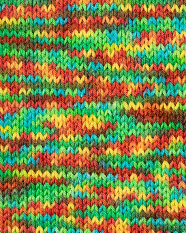 WYS ColourLab Sock Dk Pop 1202