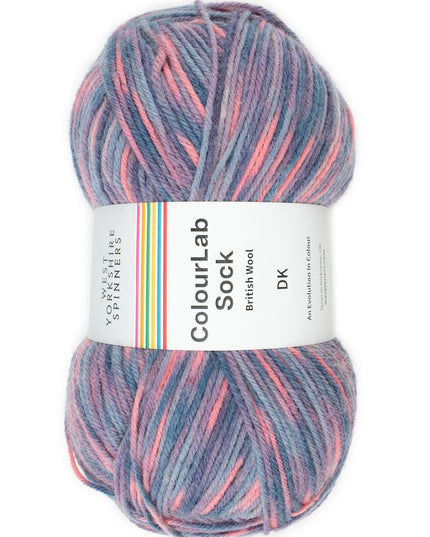 WYS ColourLab Sock Dk Soul 1199