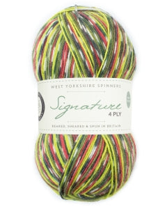 WYS Signature 4Ply Country Birds Green Woodpecker 1170