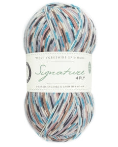 WYS Signature 4Ply Country Birds Jay 1167
