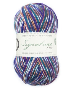 WYS Signature 4Ply Country Birds Starling 1169