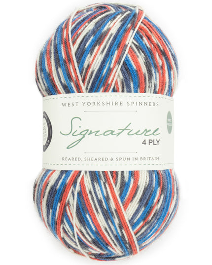 WYS Signature 4Ply Country Birds Swallow 1168