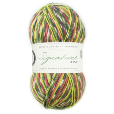 WYS Signature 4Ply Country Birds Green Woodpecker 1170