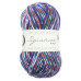 WYS Signature 4Ply Country Birds Starling 1169